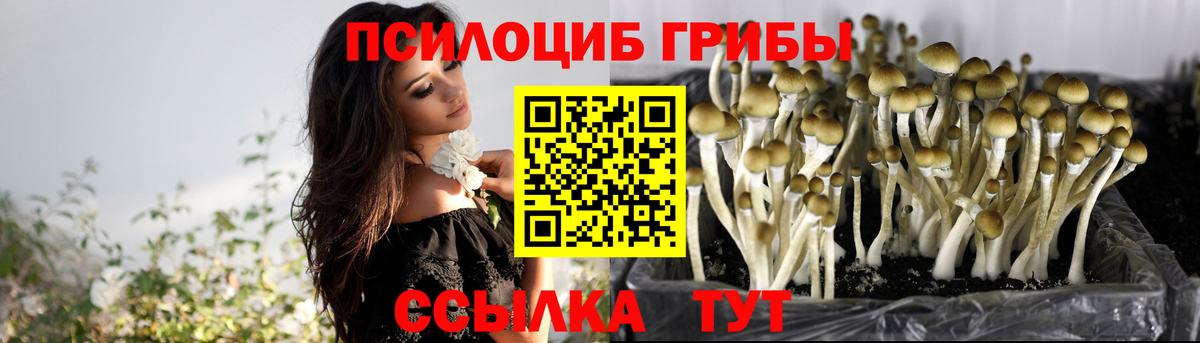 Галлюциногенные грибы ЛСД Конаково